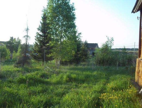 Продается земельный участок 12 соток в д. Бурмакино, Можайский р-н,131 км от МКАД по Минскому шоссе. в Можайске