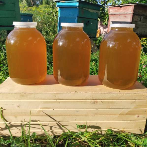 Натуральный цветочный мёд с разнотравья, сотовый мёд в рамке в Казани