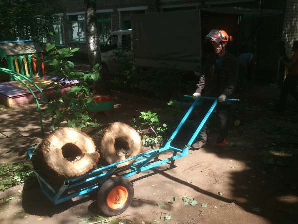Спил деревьев, утилизация древесных остатков, дробилка в Кирове фото 3