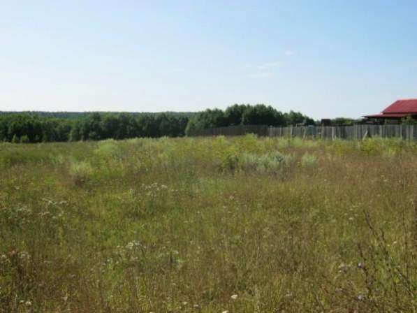 Продается земельный участок 25 соток в деревне Большое Тесово (рядом река Москва) 98 км от МКАД по Минскому, Можайскому шоссе.