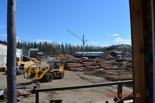Продается лесопильно-деревообрабатывающий комплекс в Усть-Илимске фото 14