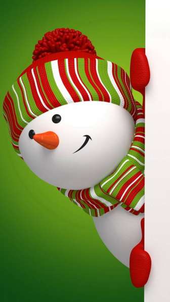 ВИДЕО-ПОЗДРАВЛЕНИЕ ОТ ДЕДА МОРОЗА в Владивостоке фото 3