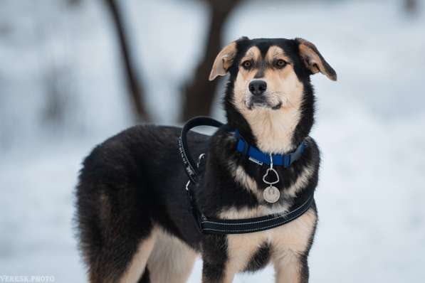 Рада &mdash; кареглазая красавица, полная любви, доброты в Москве фото 12