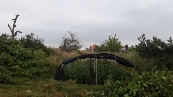 Продам дом с участком в Курске фото 14