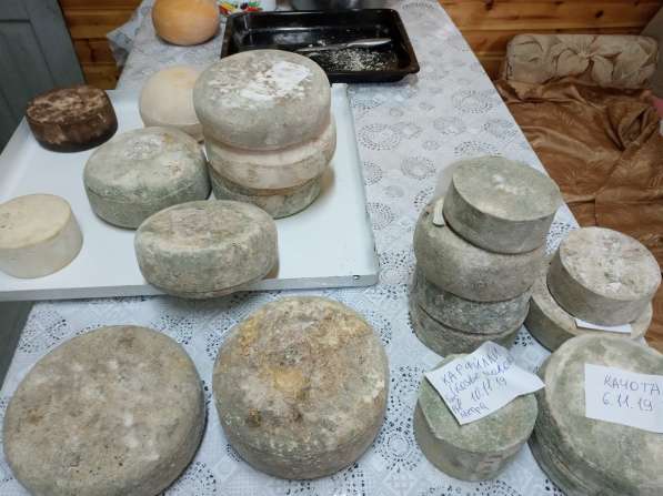 Изготовление сыров на заказ в Москве фото 5