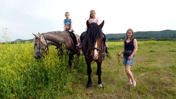 Конная прогулка в Красноярске фото 18