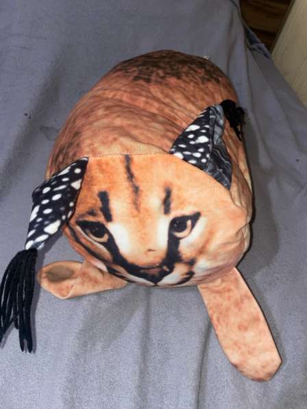 Шлепа-игрушка кот, большая в Туапсе