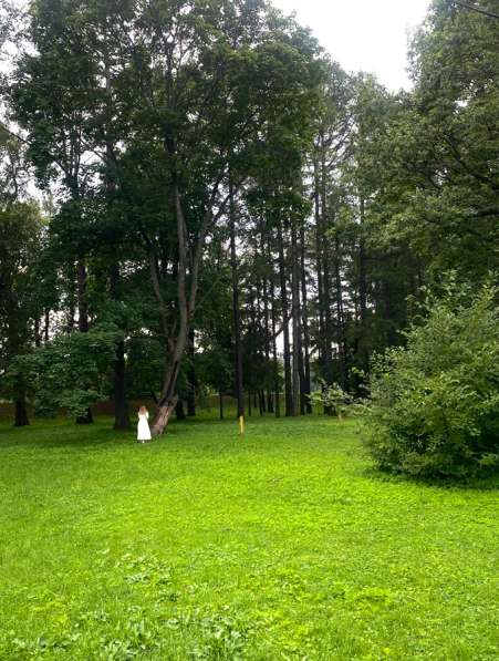Обработка фотографий в Краснодаре фото 4