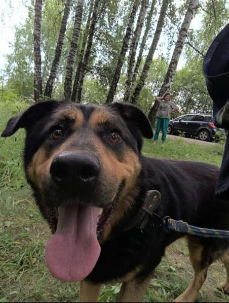 Шерри ищет дом и любимую семью