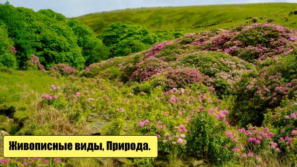 Земельный участок ∣ 9 соток земли в Кисловодске фото 3
