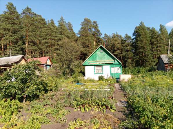 Сад в г. Белорецк в Магнитогорске фото 7