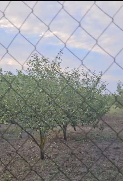 Продам земельный участок Анапа с. Цибанобалка в Новосибирске фото 5