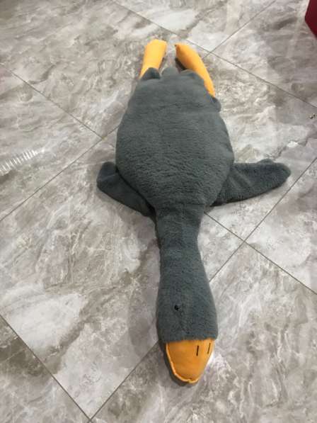 Гусь абнеиусь