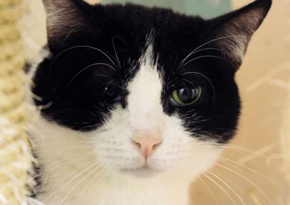 Вдумчивая Луиса мечтает встретить родную душу в Москве фото 3