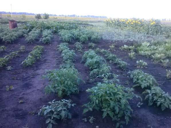 Продажа дома в Самаре фото 21