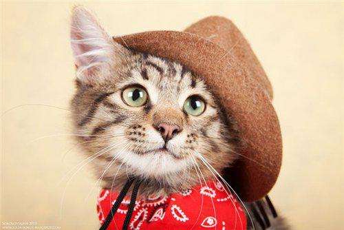 Котенок мальчик 4 мес., в добрые руки!