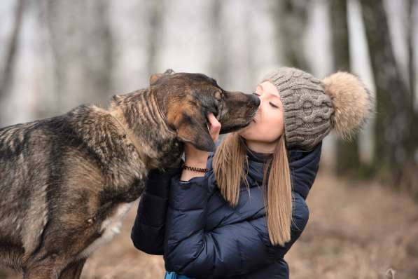 Надёжный Друг Курт ищет семью в Москве фото 58
