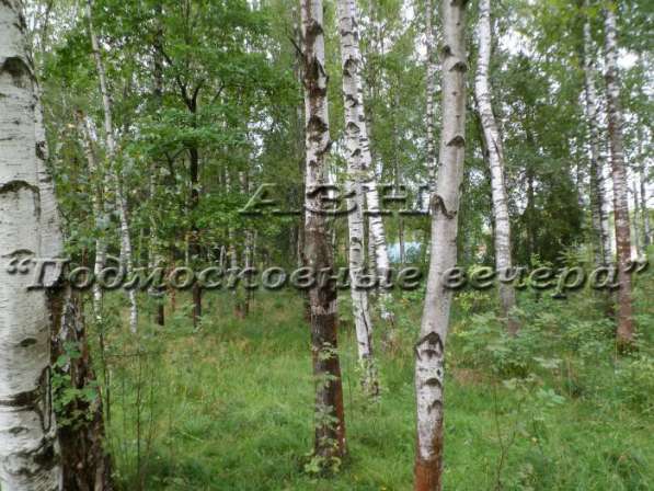 realty_mapper3.plot_in_locationПлощадь 15.00 сот.Есть Электричество, Водопровод. в Москве фото 15