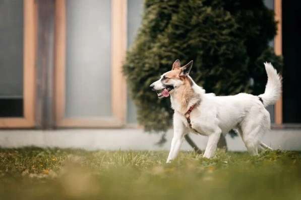 Тунис в поисках любящей семьи в Москве фото 39