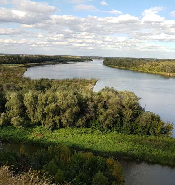 Земельный участок на берегу Дона в Иловле фото 8