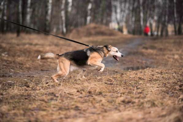 Молодой энергичный Майор ищет семью в Москве фото 55