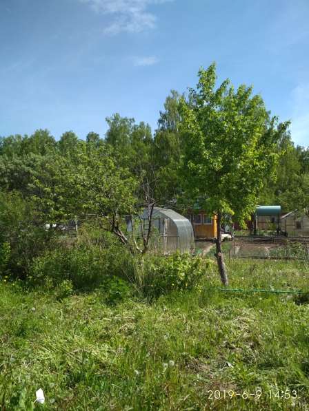 Продается садовый участок в коллективном саду Дружба в Екатеринбурге фото 8