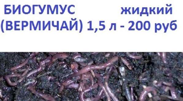 Биогумус жидкий (Вермичай) концентрат в Новосибирске