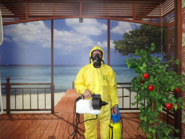 Избавим Вас от насекомых и грызунов и тд в Москве фото 5