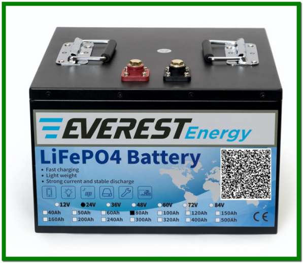 Тяговые литиевые аккумуляторы Everest Energy LFP-24V80А