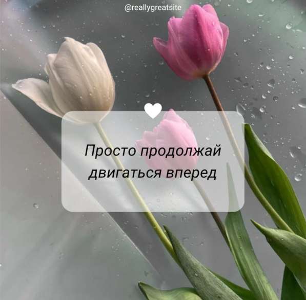 Нужен помощник в отдел кадров