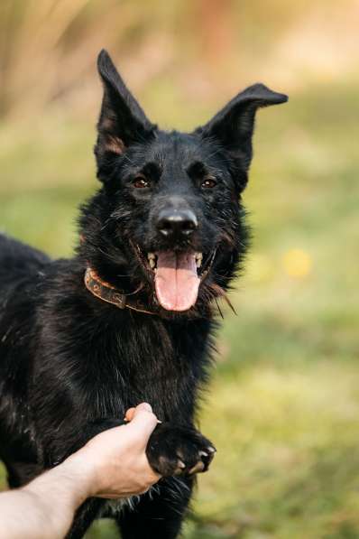 Заберите меня, пожалуйста в Москве