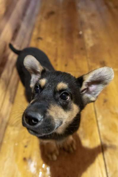 Мальчик в добрые руки