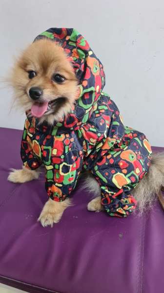 Вязка