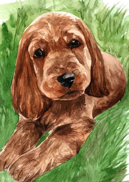 Рисую картины для вас