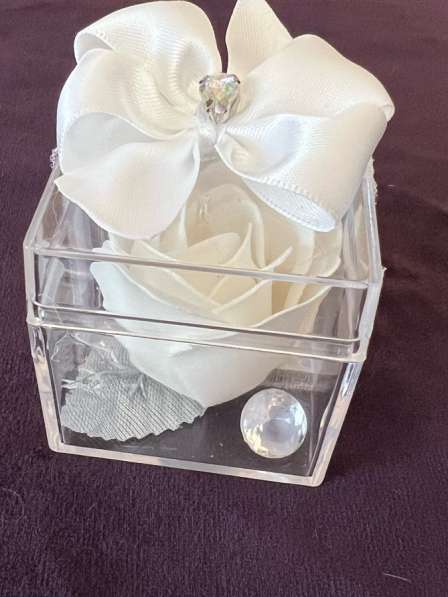 Таросики в Перми фото 7