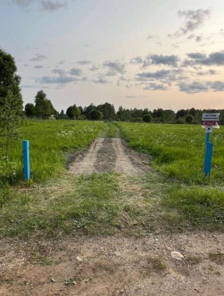 Участок 31 гектар в Гагарине фото 8