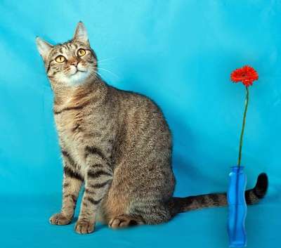 наша крупная Кама в Санкт-Петербурге фото 5