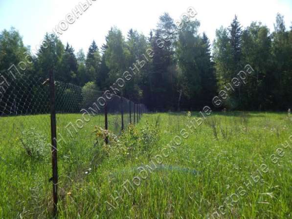 realty_mapper3.plot_in_locationПлощадь 17.50 сот.Есть Электричество, Водопровод. в Москве фото 6