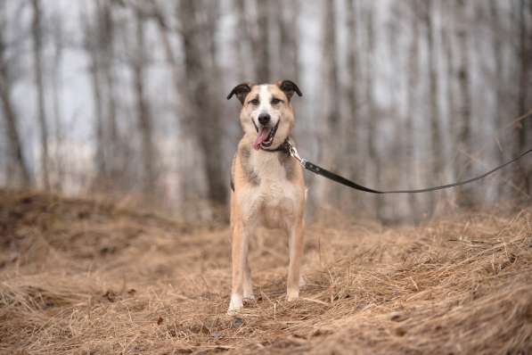 Молодой энергичный Майор ищет семью в Москве фото 46