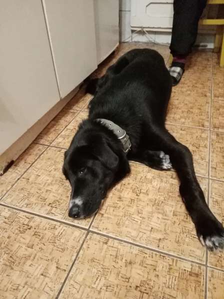 В самые надёжные руки в Саратове фото 11