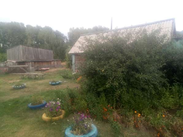 Алтайский край, Ребрихинский район, с. Шумилиха, дом 85 кв.м в Барнауле фото 4