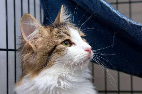 Жизнерадостная Ариэль спешит навстречу друзьям в Москве фото 3