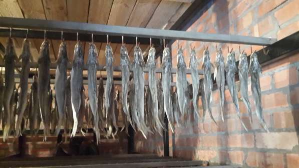 Рыбный цех г. Шахты реализует вяленую рыбу оптои и в розницу в Шахтах фото 4
