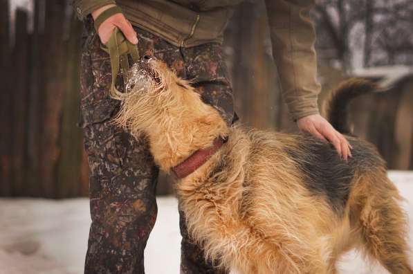 Мухтар ищет семью в Москве фото 26