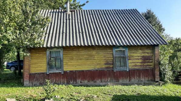 Два дома на участке 22 сотки в деревушке у озера, баня в Пскове