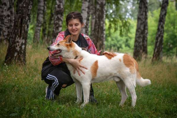 Лучший Друг Макс ищет семью в Москве фото 5