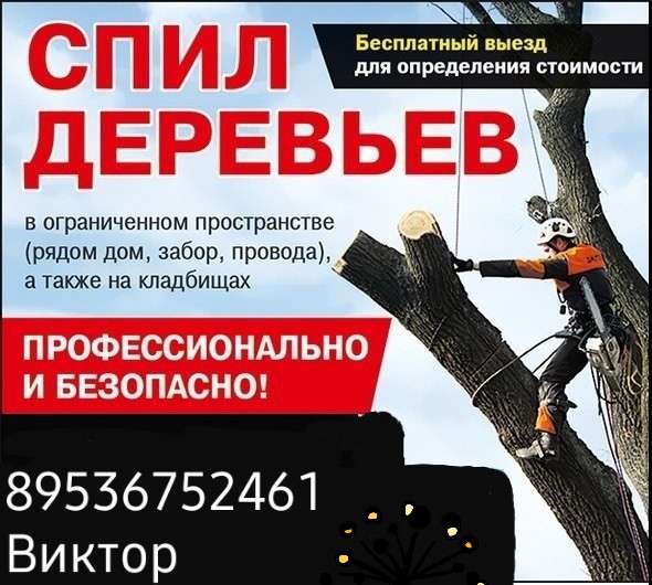 СПИЛ ДЕРЕВЬЕВ