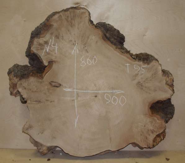 Продам слэбы поперечного капового тополя, Вл 8-10% в Москве фото 9