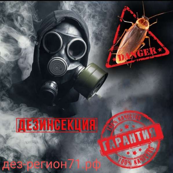 Уничтожение тараканов в Туле фото 3