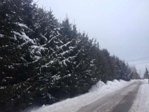 Продажа дома. Птичное 20 км от МКАД в Москве фото 12